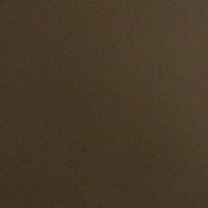 Meet your Posher, Regina